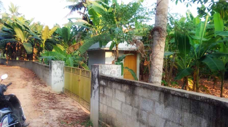2 acre wetland for sale in Ulloorkonam, Karyavattom, Trivandrum
