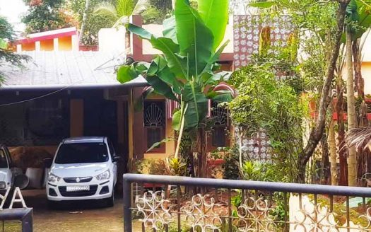 30 cent residential land for sale near Vembayam, Trivandrum
