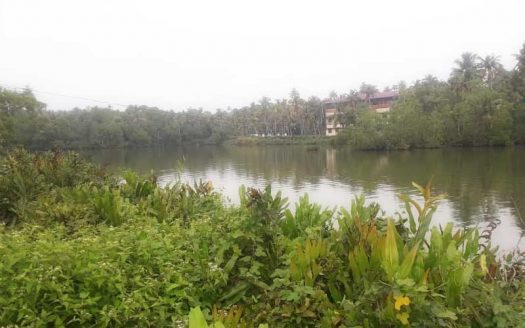 15 acre lake view land for sale near Mananakku, Vakkom, Trivandrum