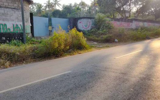 1.25 acre Commercial land for sale in Chakkuvally, Kollam