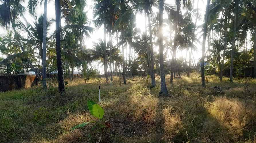 70 cent Sea view land for sale in Puthukkurichy, Trivandrum