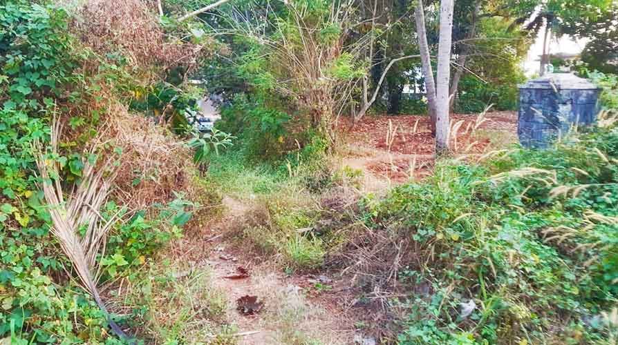 65 cent commercial land for sale in Kallambalam, Trivandrum