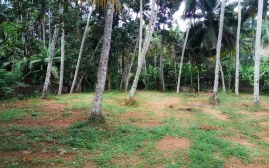 35 cent land for sale in Sreekaryam near College of Engineering Trivandrum