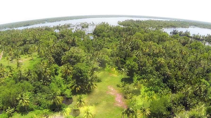 2 acre water frontage land for sale near Kappil Beach, Varkala