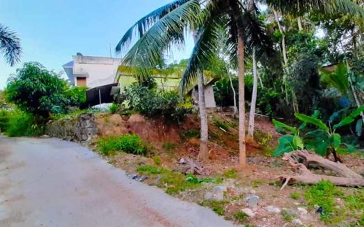 6 cent residential land for sale in Cheruvaikkal, Sreekariyam