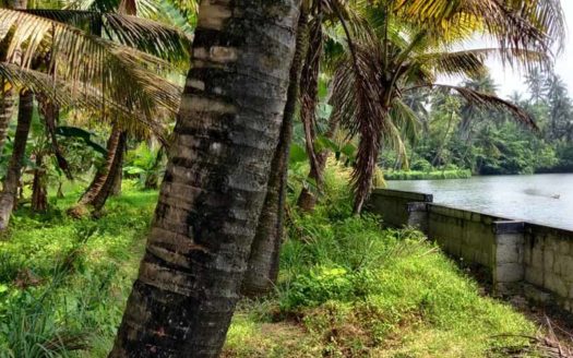 25 acre river front land for sale near Attingal, Trivandrum