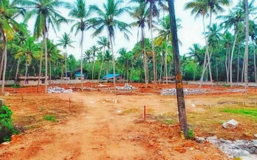 Prime Residential plots available for sale near Kaniyapuram, Pallipuram