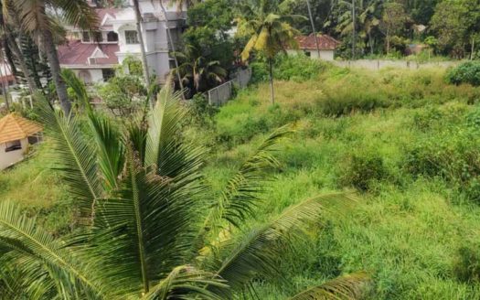 1.2 acre Sea view land for sale at Varkala, Trivandrum