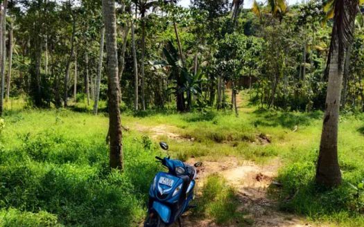 4 acre land for sale in Kulathoor near Technopark, Trivandrum