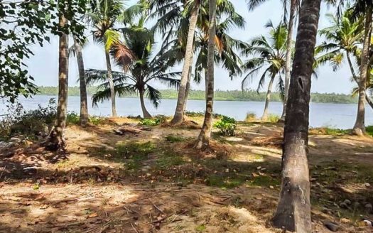 40 cent Lake front land for sale in Kadinamkulam, Trivandrum
