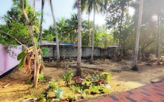 6 cent Residential land for sale at Channankara near Kaniyapuram