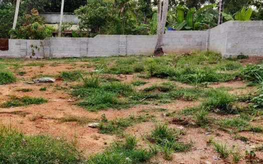 Prime Residential plots for sale near Nedumangad, Trivandrum