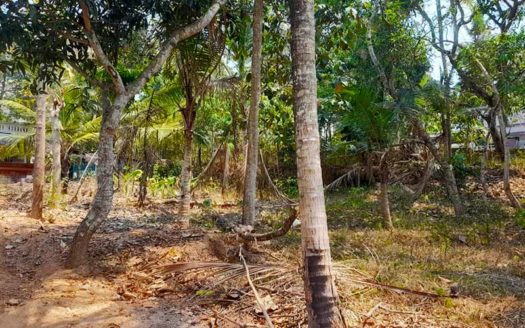 12 cent Land for sale in Chanthavila, Kazhakuttam