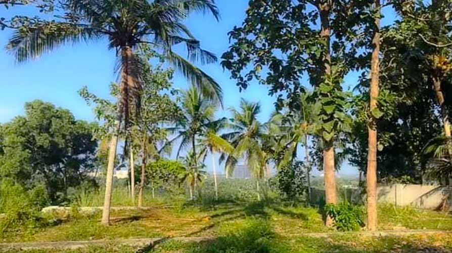 5.6 cent Lake view land for sale in Aakkulam, Trivandrum