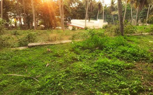 15 cent Residential Land for sale in Mangalapuram, Technocity