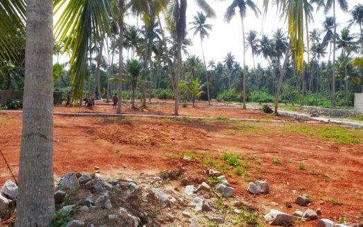 5 cent Residential Land / Plot for sale near Pallippuram, Kaniyapuram