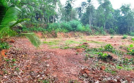 55 cent Residential Land for sale in Mangalapuram near Technocity