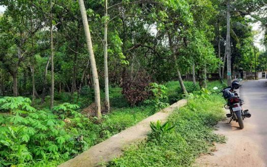 90 cent Land for sale in Mangalapuram near Technocity