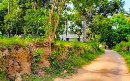 98 cent Land for sale in Mangalapuram near Technocity, Trivandrum