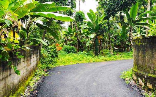 Low budget Residential Land for sale in Thonnakkal near Technocity