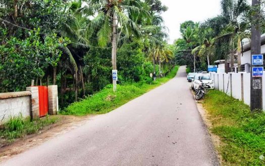45 cent Residential Land for sale in Nellimoodu, Mangalapuram