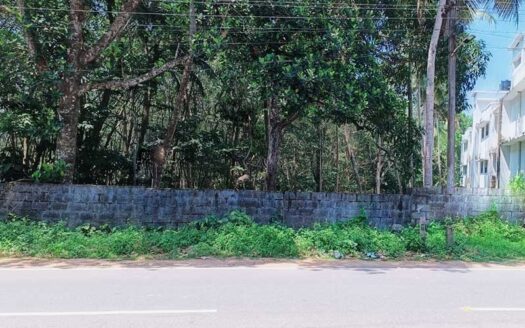 MC Road front 27 cent Commercial land for sale near Vembayam, Trivandrum