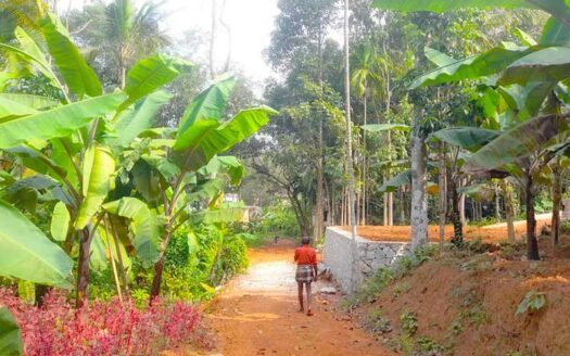 60 cent Residential Land for sale at Kattaikonam, Trivandrum