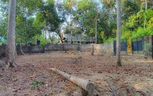 5 cent residential land for sale near Technocity, Mangalapuram
