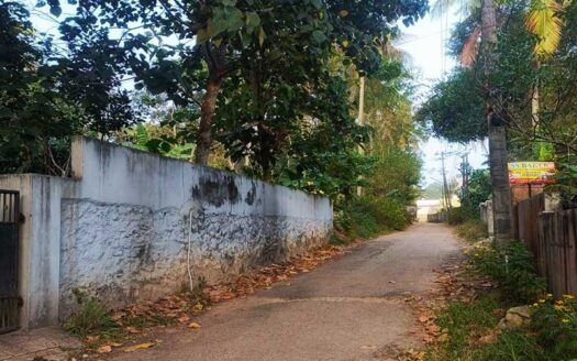 12 cent Residential land for sale in Nellimoodu, Mangalapuram