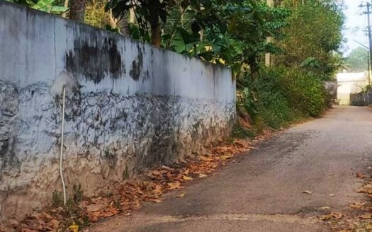 24 cent Residential land for sale in Nellimoodu, Mangalapuram