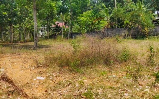 58 cent Residential Land for sale in Pothencode, Trivandrum
