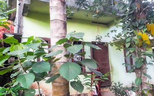 4.5 cent Residential Land for sale near Sreekariyam, Trivandrum