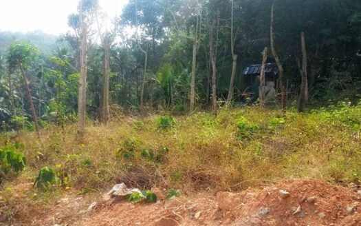 6 cent Residential Land for sale in Vembayam, Trivandrum
