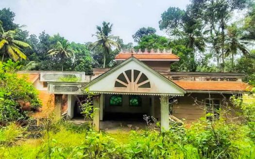 Low budget 85 cent Residential Land for sale in Cheeranikkara